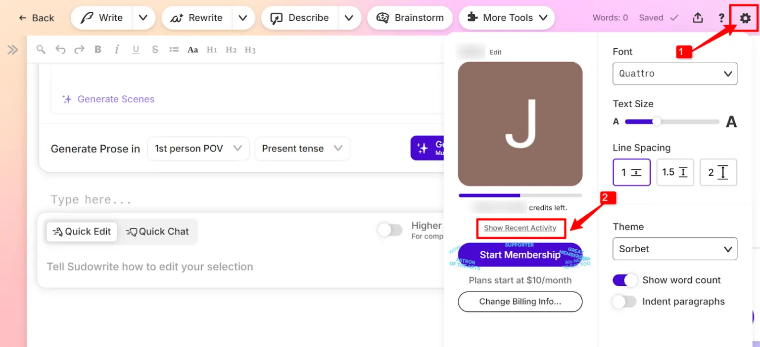 Recent Activity Option in Sudowrite